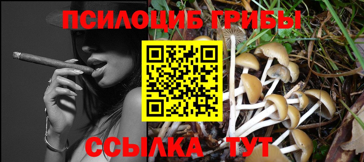 Псилоцибиновые грибы Psilocybine cubensis  Галлюциногенные грибы ЛСД  Тула  Вход с VPN 