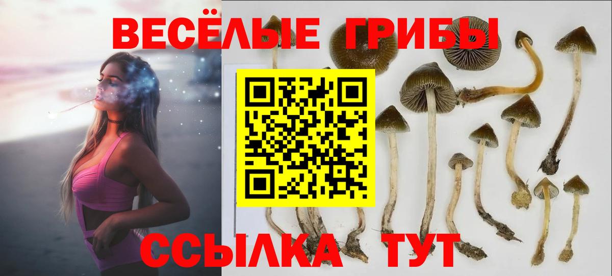 Псилоцибиновые грибы мухоморы Тула